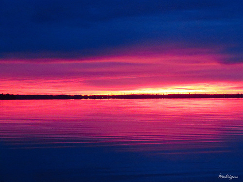 2017年　双子座の運勢